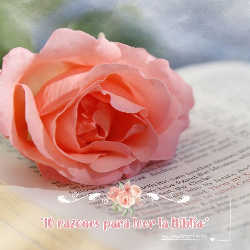 10 razones para leer la Biblia