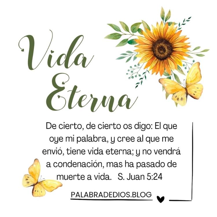 Quien cree en Él tiene vida eterna