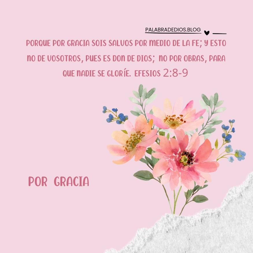 Por Gracia - Efesios 2:8-9