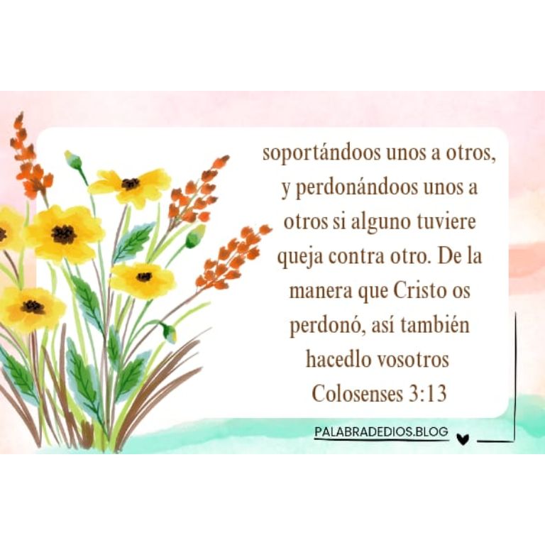 soportándoos unos a otros