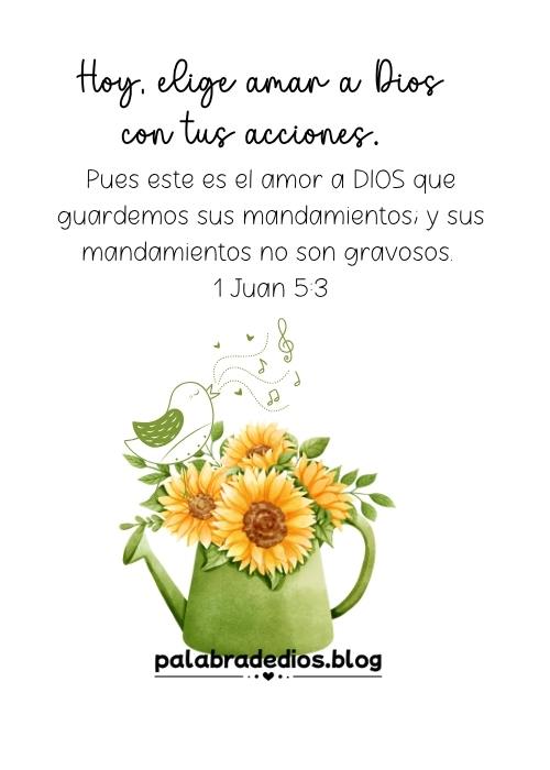 Elige amar a Dios con tus acciones