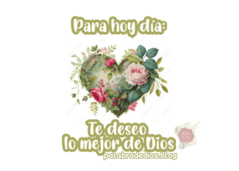 Para hoy