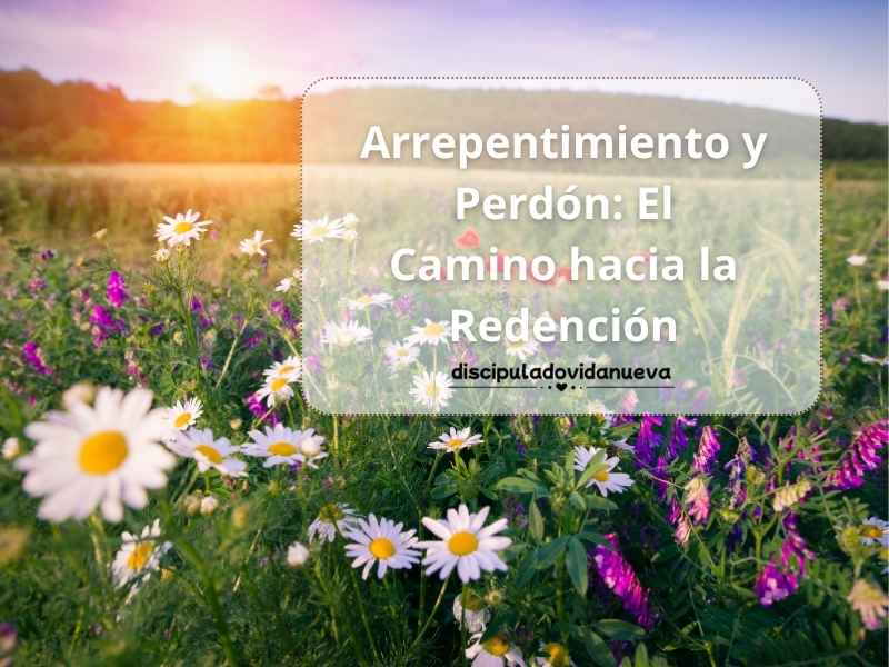 Arrepentimiento y Perdón: El Camino hacia la Redención