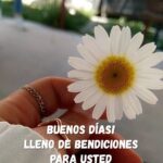 Dios Renueva Nuestro Interior Cada Día