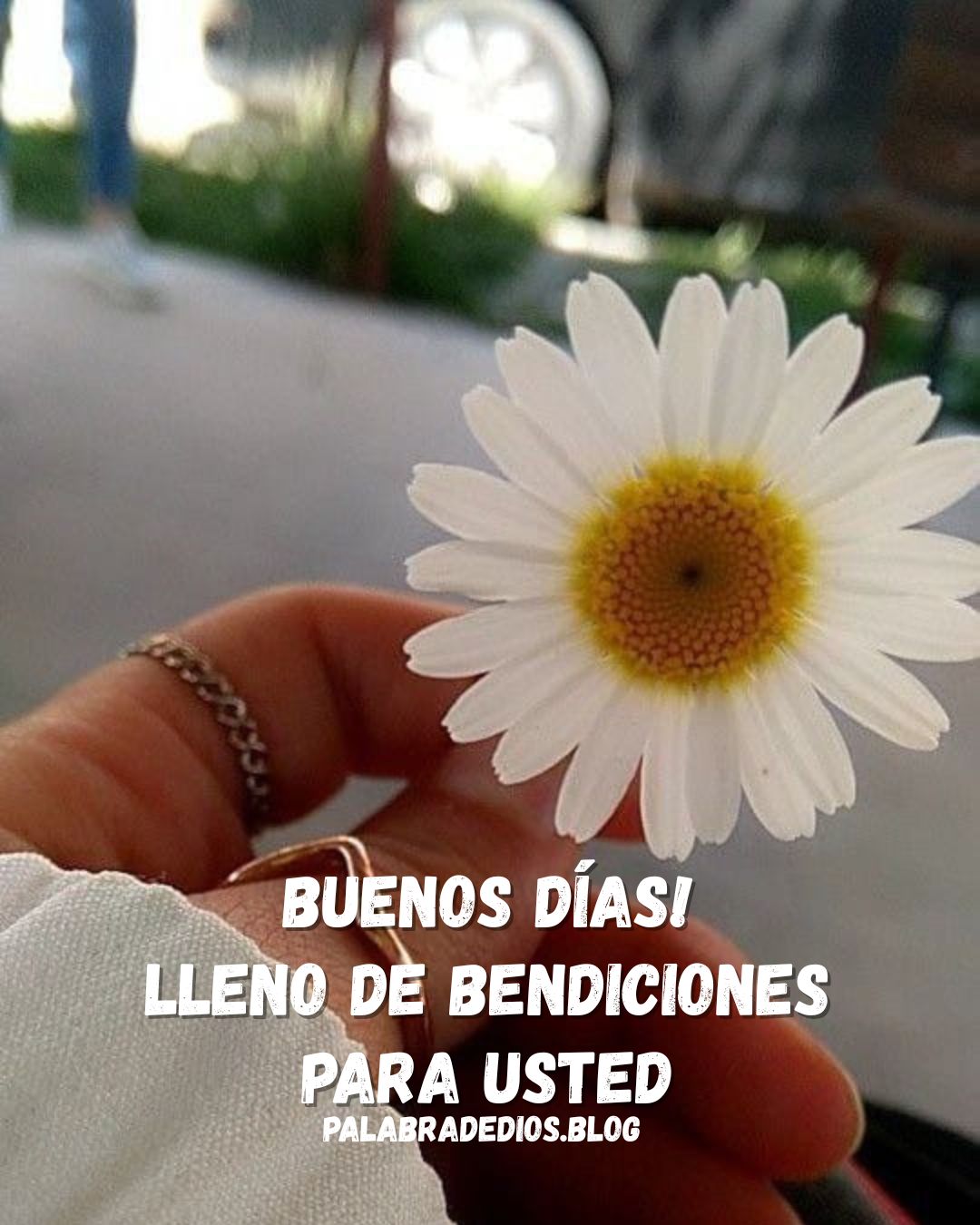 Dios Renueva Nuestro Interior Cada Día