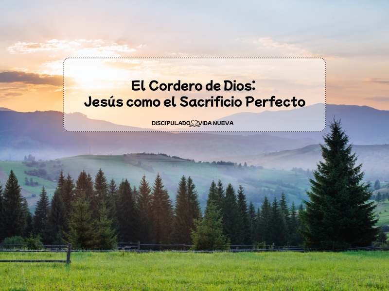 El Sacrificio Pèrfecto