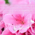 soportandoos unos a otros y viviendo en Paz a Través del Perdón