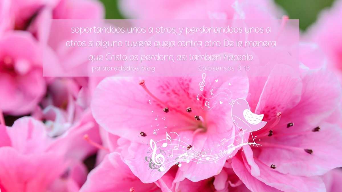 soportandoos unos a otros y viviendo en Paz a Través del Perdón